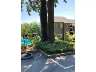 Photo #1: 21528283 Listing