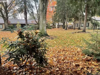 Photo #3: 21549858 Listing