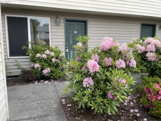 Photo #1: 21571697 Listing