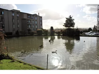 Photo #4: 21576336 Listing