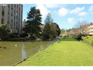 Photo #5: 21576336 Listing