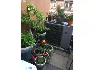 Photo #1: 21582957 Listing