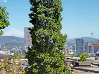 Photo #6: 21594160 Listing 