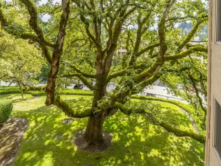 Photo #1: 21600112 Listing