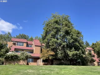 Photo #3: 21639085 Listing