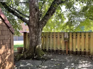 Photo #4: 21639085 Listing