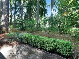 Photo #2: 21654638 Listing 