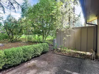 Photo #4: 21654638 Listing 