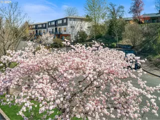 More Details about MLS # 21657063 : 9752 SW 34TH PL 3