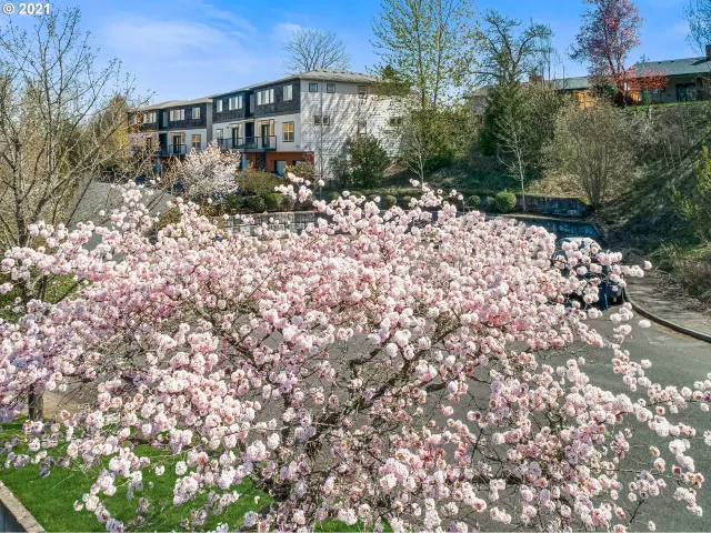 MLS: 21657063 Condo For Sale