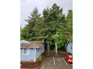 Photo #6: 21658007 Listing