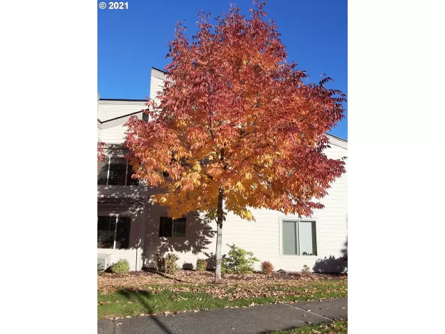 MLS: 21663819 Condo For Sale