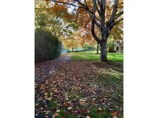 Photo #1: 21663819 Listing 