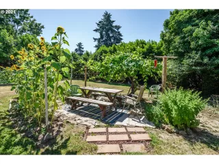 Photo #2: 21667789 Listing 