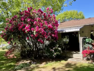 Photo #2: 21671461 Listing