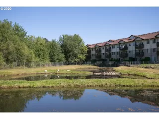 Photo #1: 21677342 Listing