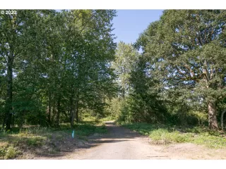 Photo #2: 21677342 Listing