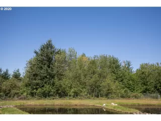 Photo #5: 21677342 Listing