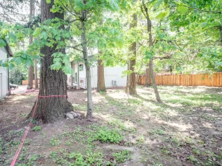Photo #5: 219323925 Listing 
