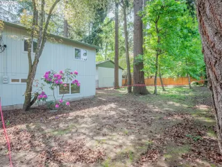 Photo #6: 219323925 Listing 
