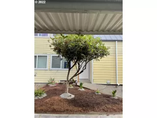 Photo #4: 22003414 Listing