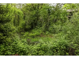 Photo #2: 22060680 Listing 