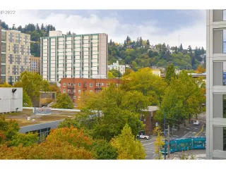 Photo #2: 22170788 Listing 