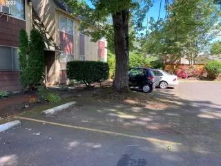 Photo #6: 22226649 Listing