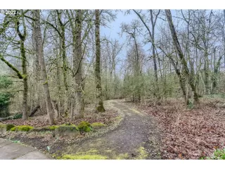 Photo #1: 22250645 Listing