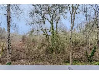 Photo #2: 22250645 Listing