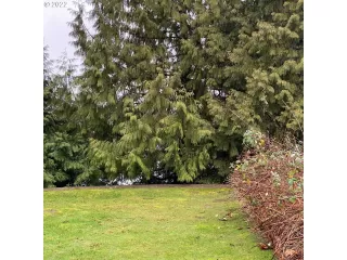 Photo #6: 22265209 Listing