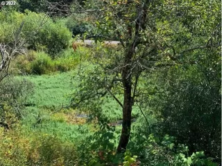 Photo #3: 22285244 Listing