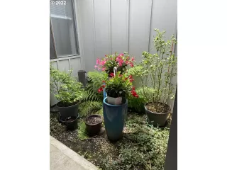 Photo #3: 22286701 Listing