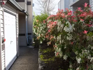 Photo #3: 22314093 Listing 