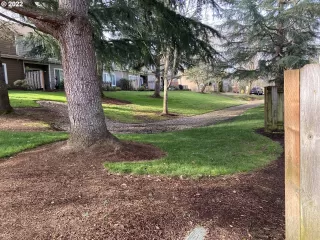 Photo #5: 22314990 Listing 