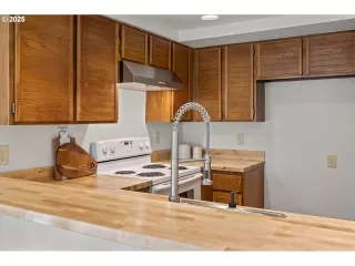 Photo #2: 223186044 Listing