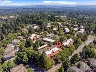 Photo #1: 223195184 Listing 