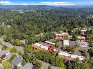 Photo #3: 223195184 Listing 