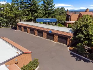 Photo #5: 223195184 Listing 