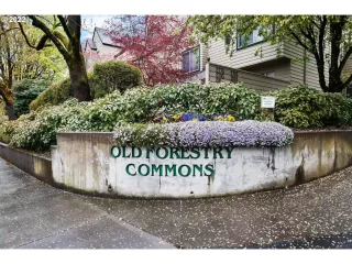 Photo #1: 22349303 Listing 