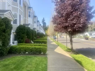 Photo #2: 22381317 Listing