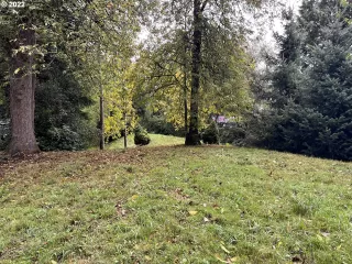 Photo #5: 22385128 Listing 