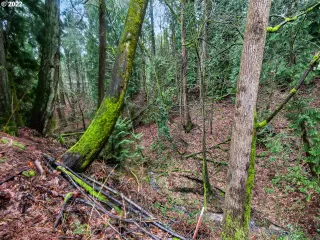 Photo #5: 22419982 Listing