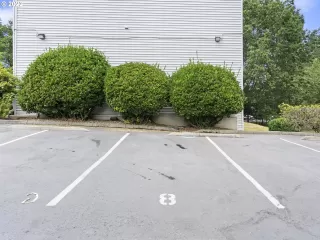 Photo #3: 22442278 Listing 