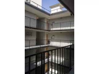 Photo #6: 224601467 Listing