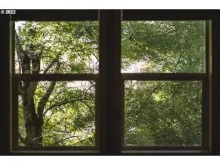 Photo #2: 22464803 Listing 