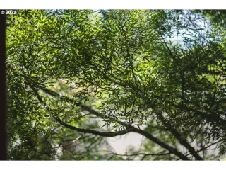 Photo #6: 22464803 Listing 