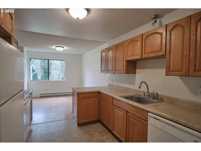 MLS: 22530282 Condo For Sale