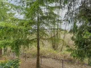Photo #5: 22579735 Listing 