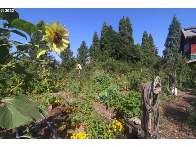 MLS: 22599534 Condo For Sale